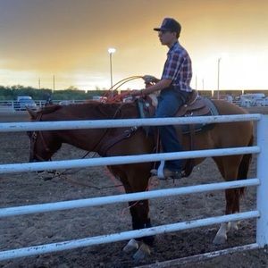 Meet your Posher, Frankie